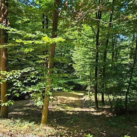 Kosuta Appartement *